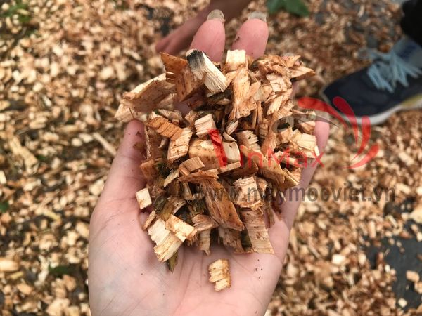 Máy băm cành cây dùng xăng 7HP Kawasaki OR70