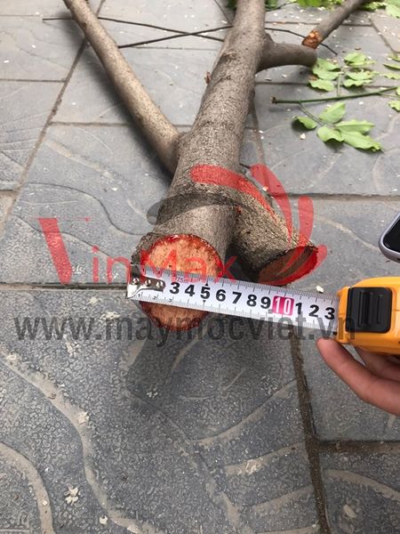 Máy băm cành cây dùng xăng 7HP Kawasaki OR70