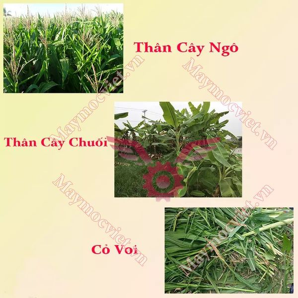 Máy băm chuối, cỏ công nghiệp băng tải VM BT55