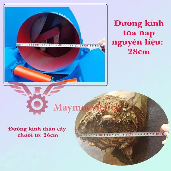 Máy băm chuối, cỏ công nghiệp băng tải VM BT55