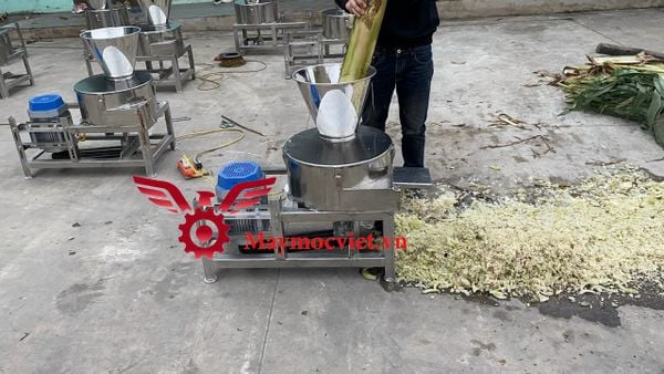 Máy băm chuối nguyên cây chất liệu inox VMI3000