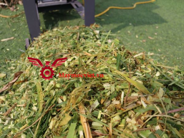 Máy băm cỏ băng tải VM250