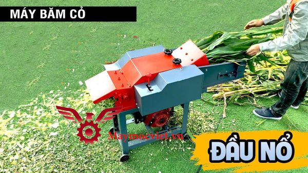 Máy băm cỏ băng tải VM250