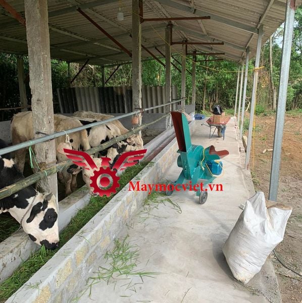 Máy băm cỏ công nghiệp MBC-3Kw