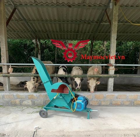 Máy băm cỏ công nghiệp MBC-3Kw