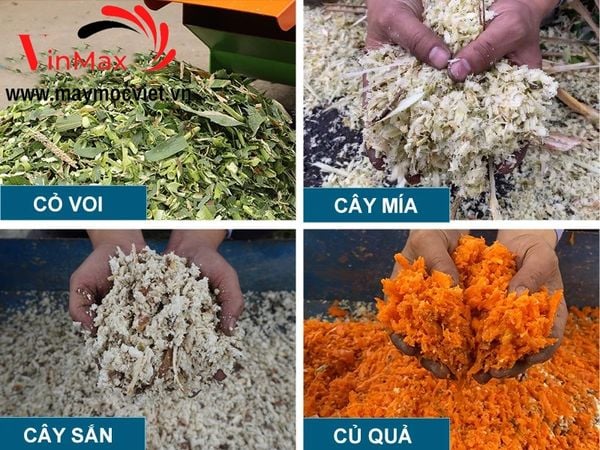 Máy băm cỏ voi, thân ngô, mía gắn động cơ xăng 6.5hp Turbo TBB650