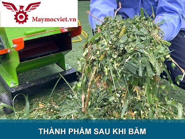 Máy băm cỏ voi, thân ngô, mía gắn động cơ xăng 6.5hp Turbo TBB650