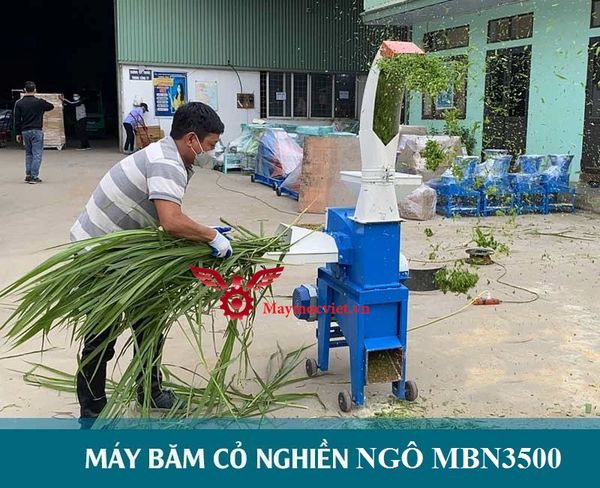 Máy băm cỏ voi, nghiền ngô cổ hạc MBN3500