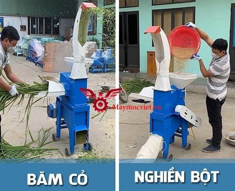 Máy băm cỏ voi, nghiền ngô cổ hạc MBN3500
