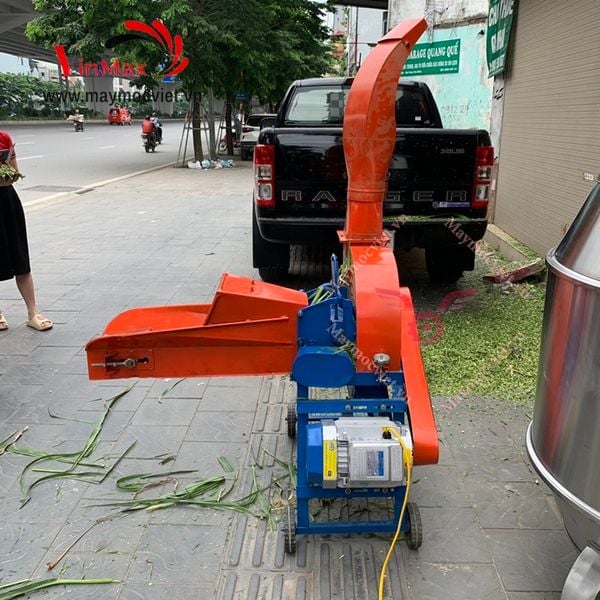 Máy băm cỏ voi công nghiệp có băng tải VMBC3500