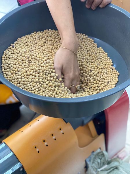 Máy bóc vỏ, xát vỏ đậu nành Turbo TBYL40