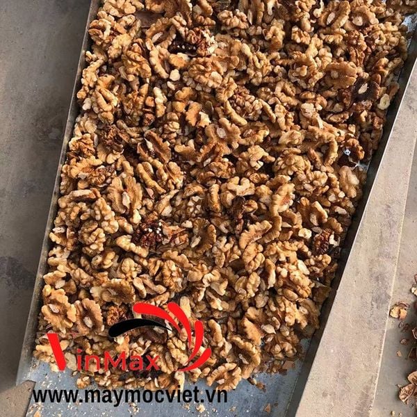 Máy bóc vỏ óc chó Vinmax VMC200