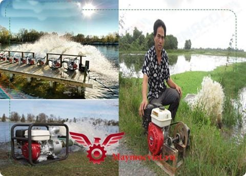 Máy bơm nước chạy xăng Dragon D20