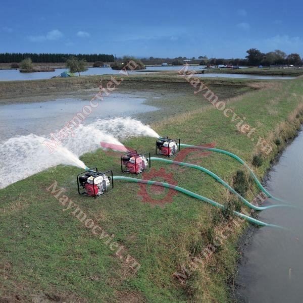 Máy bơm nước chạy xăng Pona CX 20