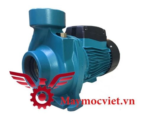 Máy Bơm Ly Tâm Lưu Lượng Lepono ACm 150B2 (1.5kw)