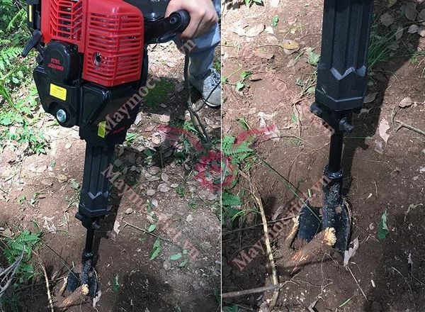 Máy bứng cây, đục bê tông Sumo MBC680
