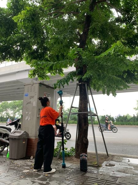 Máy cưa cành trên cao dùng pin VMP42