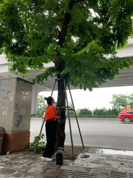 Máy cưa cành trên cao dùng pin VMP42