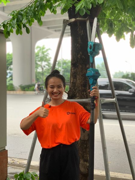 Máy cưa cành trên cao dùng pin VMP42