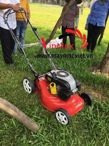 Máy Cắt Cỏ Đẩy Tay  GX160 model VM1688