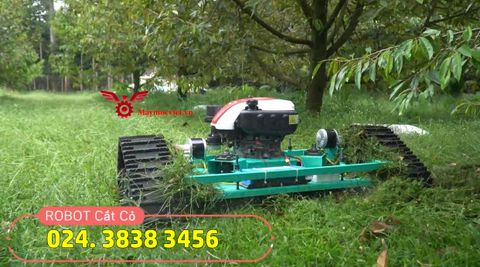 Máy cắt cỏ bánh xích điều khiển từ xa Vinmax RB7HP