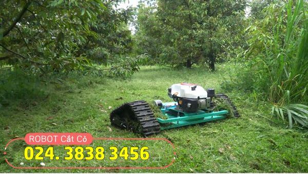 Máy cắt cỏ bánh xích điều khiển từ xa Vinmax RB7HP