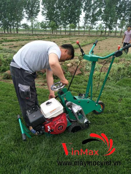 Máy rạch cỏ thảm, máy cắt cỏ thảm cuộn Turbo TBT900