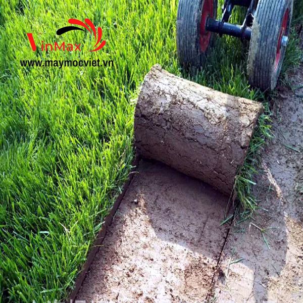 Máy rạch cỏ thảm, máy cắt cỏ thảm cuộn Turbo TBT900