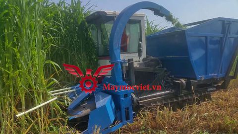 Máy cắt cỏ voi liên hoàn thế hệ mới VMLH04