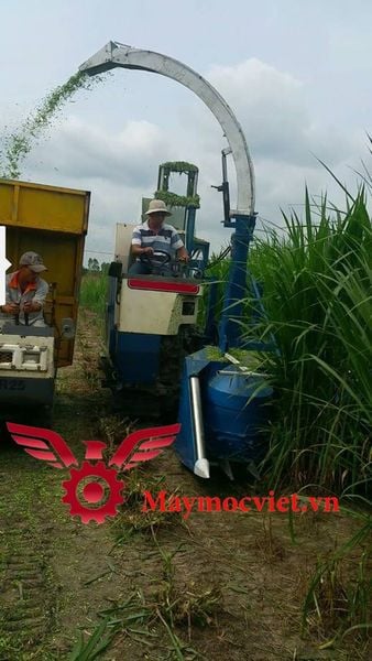 Máy cắt cỏ voi liên hoàn thế hệ mới VMLH04