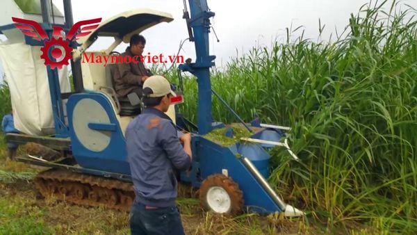 Máy cắt cỏ voi liên hoàn thế hệ mới VMLH04