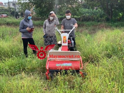 Máy cắt phát cỏ trục băm Vinmax CB1000