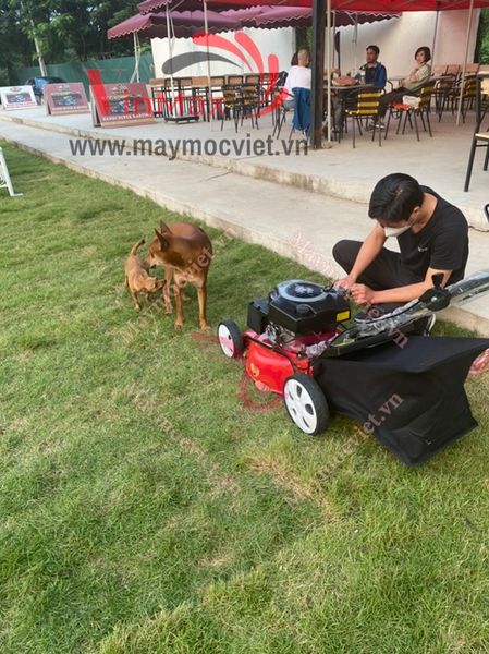 Máy Cắt Cỏ Đẩy Tay 4 thì Turbo TB216K3