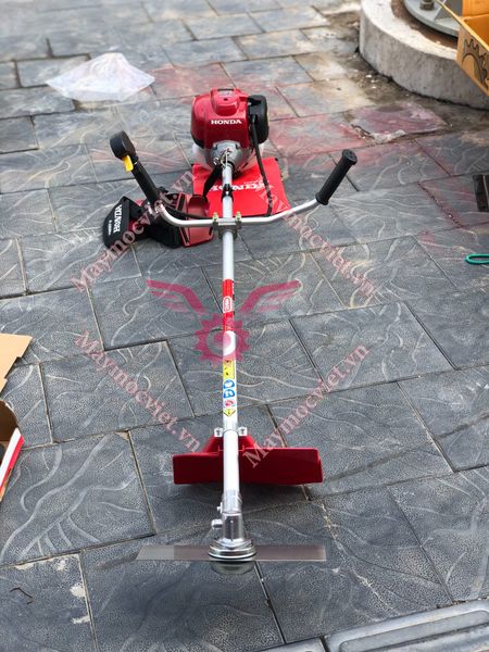 Máy cắt cỏ Oshima T-GX35 Thái Lan