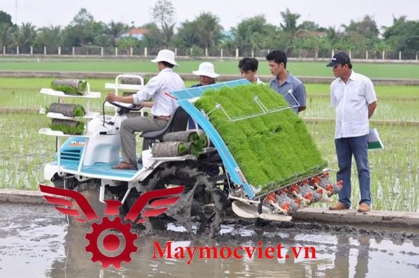 Máy cấy lúa 8 hàng chạy dầu Kubota NSD8