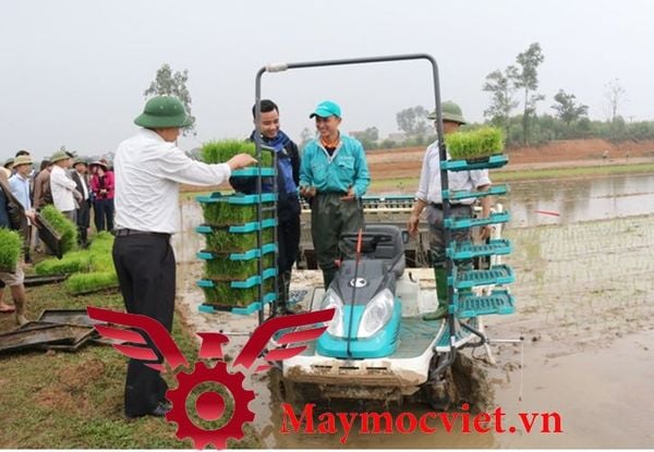 Máy cấy lúa 8 hàng chạy dầu Kubota NSD8