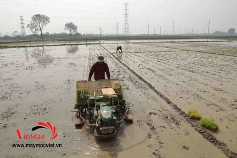 Máy cấy lúa đẩy tay Turbo 2ZF-4B