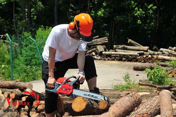 Máy cưa xích cầm tay dùng điện MPT MECS1601