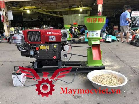 Máy Ép Cám Viên Đầu Nổ D10 VM200