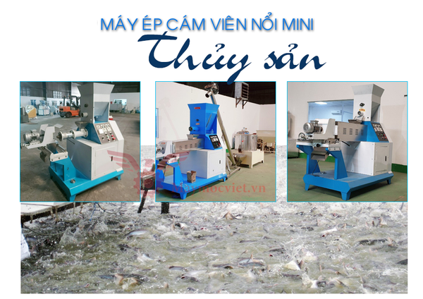 Máy ép cám nổi mini VM15KW