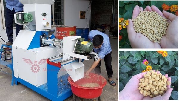 Máy ép cám nổi mini VM15KW