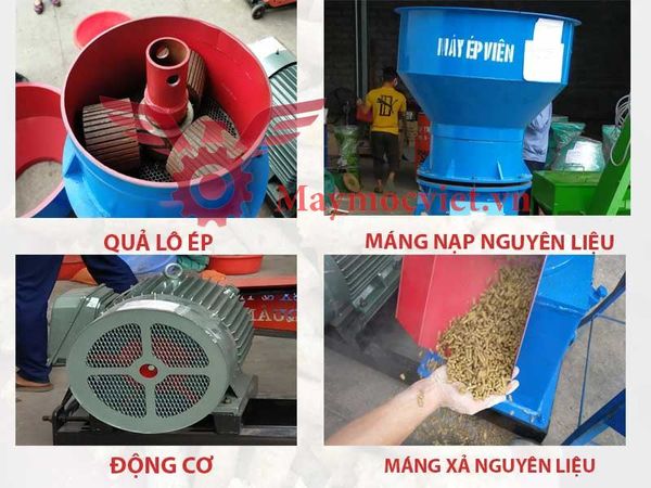 Máy Ép Cám Viên 3 Pha VM300