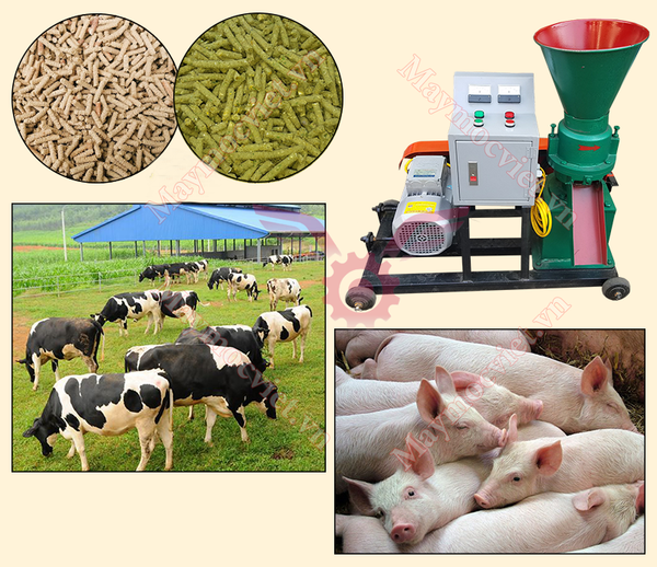 Máy ép cám viên tủ điện năng suất 150kg/ giờ S150-TĐ