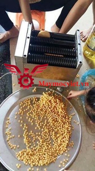 Máy làm bánh nhãn, trân châu, Máy vo viên hoàn thuốc đông y VMV20