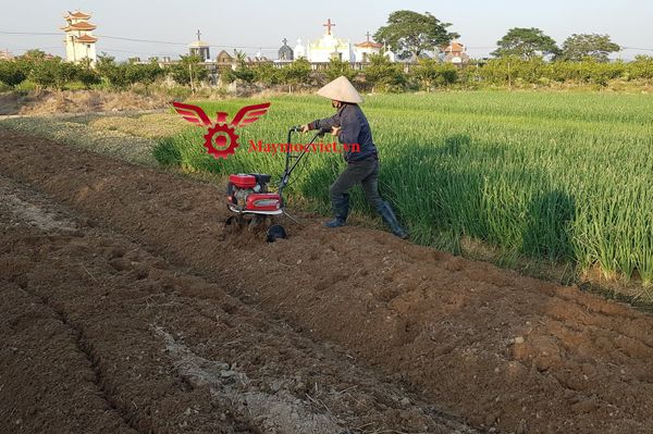 Máy làm đất Mitsubishi Nhật Bản VM210