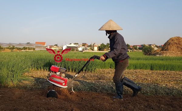 Máy làm đất Mitsubishi Nhật Bản VM210