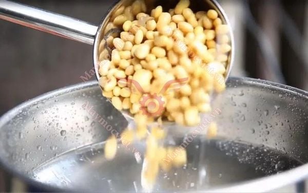 Máy xay đậu nành Vinmax XDN2200W