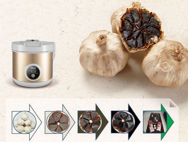 Máy làm tỏi đen gia đình Sunca FS-G100