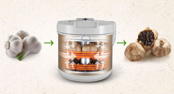 Máy làm tỏi đen gia đình Sunca FS-G100