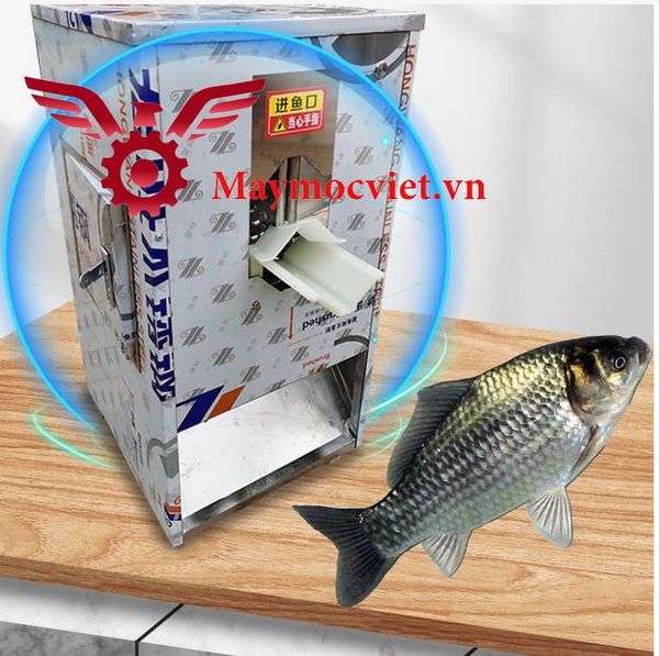 Máy mổ và đánh vảy cá công nghiệp VMMV1500
